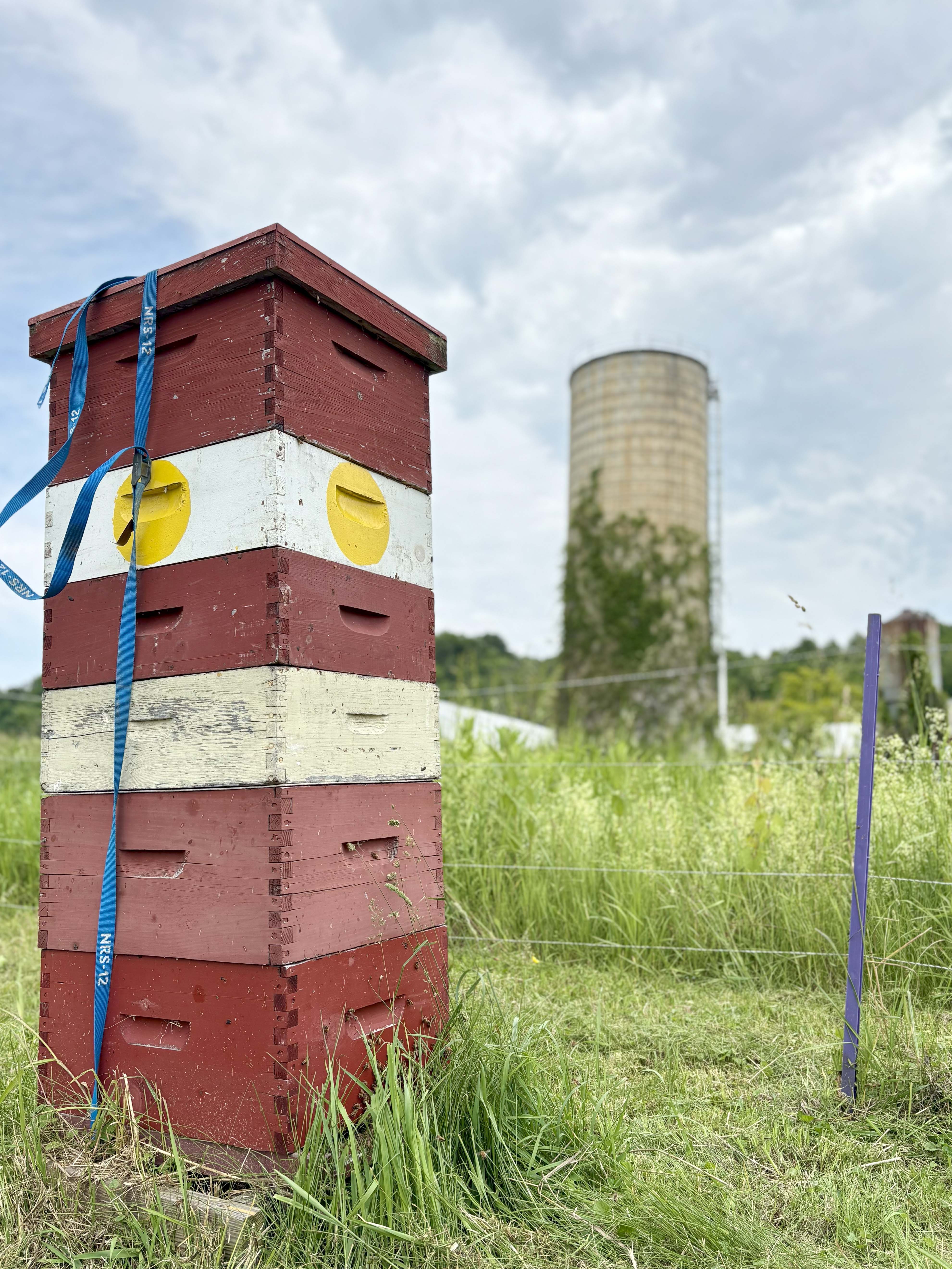 A hive from one of our Apiaries with a silo in the background